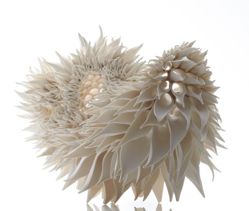 Hand-Built Porcelain Sculptures by Nuala O'Donovan Mimic Fractal Patterns Found in Nature — Colossal