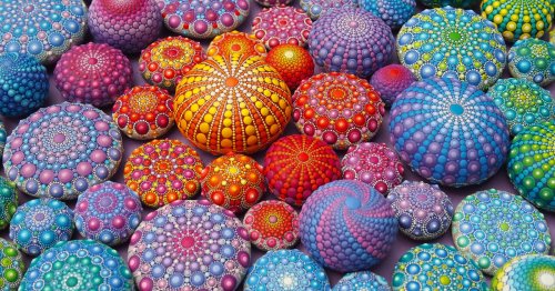 Painted with Mesmerizing Precision, Innumerable Dots Cloak Stones in Hypnotic Patterns