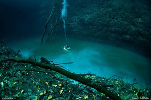 Cenote Angelita: An Underwater River Photographed by Anatoly Beloshchin — Colossal