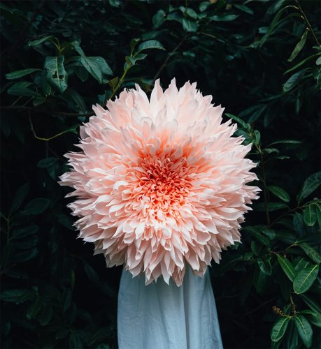 Giant Paper Flowers by Tiffanie Turner — Colossal