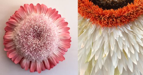 New Giant Paper Flower Sculptures by Tiffanie Turner