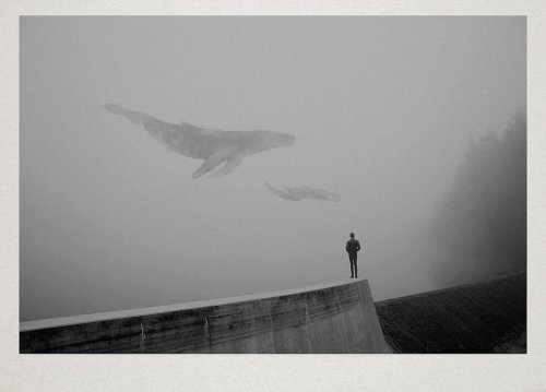 Surreal Atmospheric Photography by Martin Vlach — Colossal