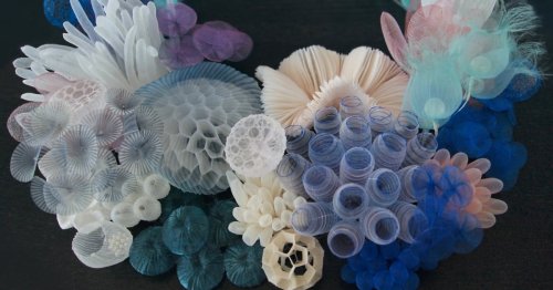 Clusters of Diaphanous Textile Sculptures by Mariko Kusumoto Evoke the Ocean Floor