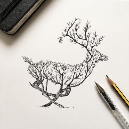Pen & Ink Depictions of Trees Sprouting into Animals by Alfred Basha — Colossal