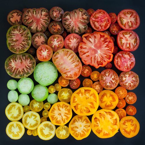 Color Coded Food and Flowers Photographed by Emily Blincoe — Colossal
