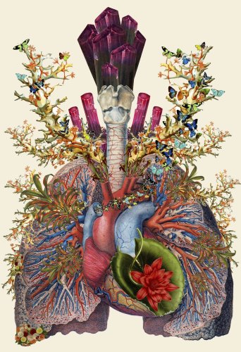 Anatomical Collages by Travis Bedel — Colossal