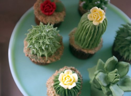 DIY House Plant Cupcakes — Colossal