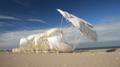 A Wind-Powered Herd of Beach Animals Merge Into a Storm Defense System in Theo Jansen's Latest 'Strandbeest' — Colossal