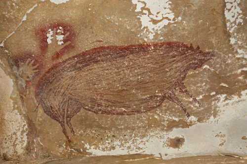 This Warty Pig Painting Is Thought To Be the Oldest Cave Art in the World — Colossal