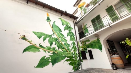 Mona Caron's Murals of Weeds Slowly Overtake Walls and Buildings — Colossal
