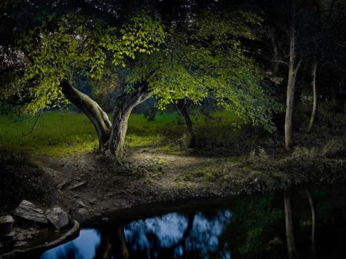 Night: Surreal Landscapes Lit with an LED Flashlight by Harold Ross — Colossal