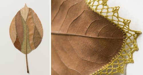 Delicate Crocheted Patterns Splice and Embellish Susanna Bauer's Dried Leaf Sculptures — Colossal