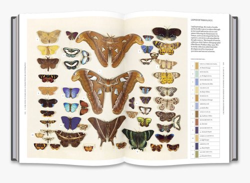 Nature's Palette: A New Book Expands the Landmark Guide to Color for Artists and Naturalists with 800 Rich Illustrations — Colossal