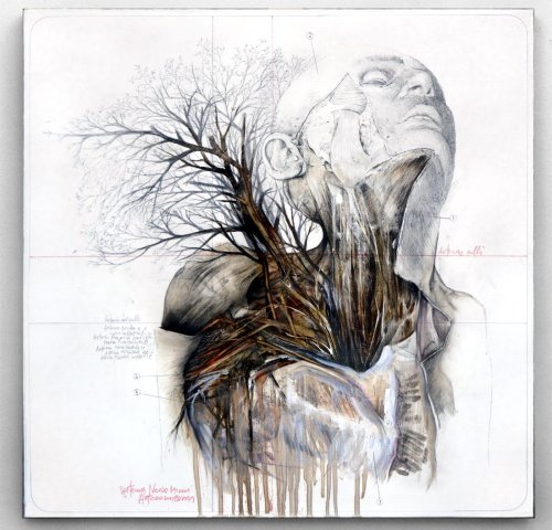 Nunzio Paci's Graphite and Oil Paintings Merge Nature and Anatomy — Colossal