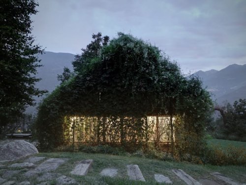 Green Box is a Private Building Designed to be Consumed by Vegetation — Colossal