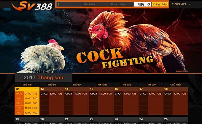SV388 cover image