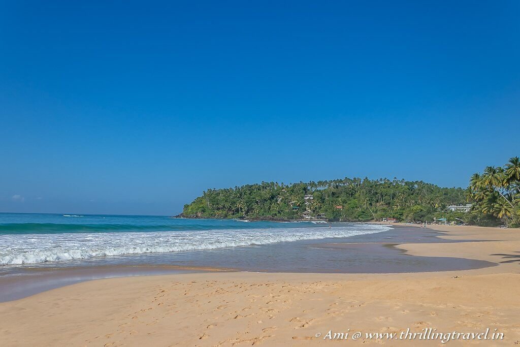 Things to do in Mirissa, Sri Lanka - Thrilling Travel