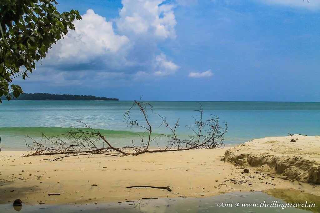 Havelock Island: A place that locks hearts in Andamans - Thrilling Travel