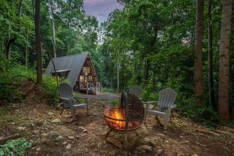 10 Dreamy Airbnbs Across the Country That Welcome Furry Friends