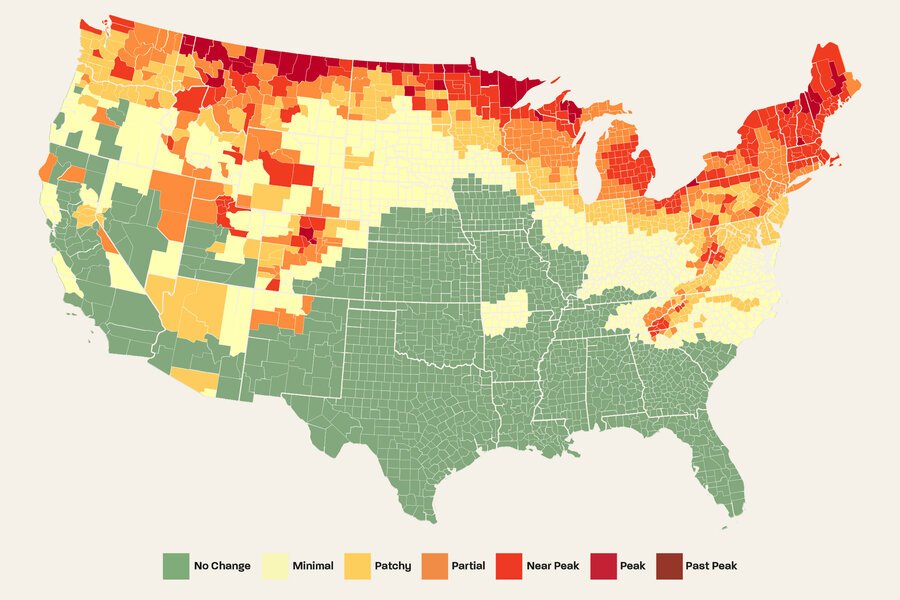 Here's When and Where You’ll Need to Travel to See the Best Fall Foliage This Year