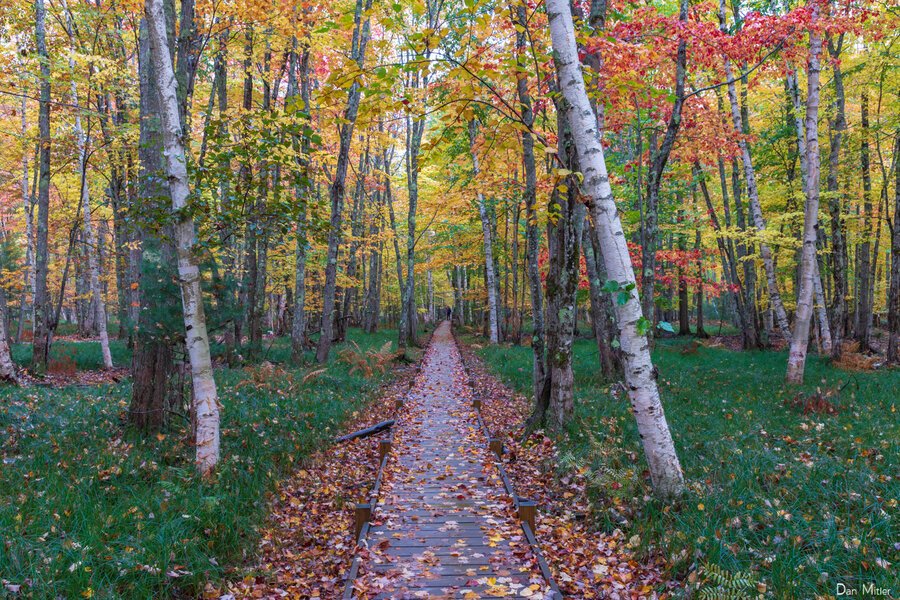 Peep Leaves at the Best Campgrounds for Fall Foliage in the U.S.