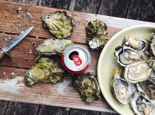 Eat Oysters, Barbecue, and More at Food Festivals Around Atlanta This Weekend