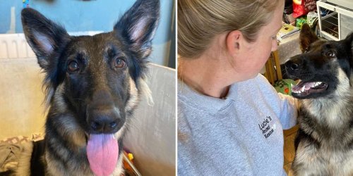Woman Rescues Dog From Euthanasia, Then Realizes She's Saving More Than One Life