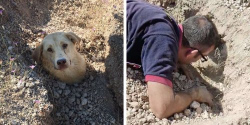 Rescuer Finds Dog Buried Up To Her Neck — Then Realizes She's Not Alone