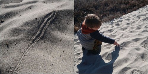 Family Spots 'Really Weird' Animal Tracks While Hiking And Can't Believe Who Made Them