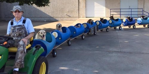 Man Builds 'Dog Train' To Take Rescued Pups Out On Little Adventures