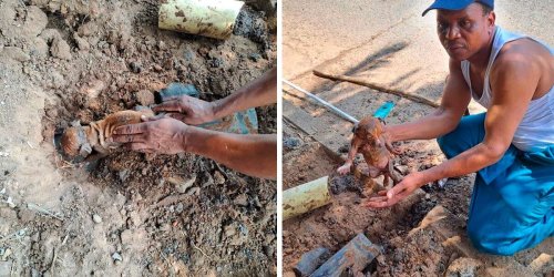 Rescuers Hear Crying Coming From Drainpipe And Pull Out Someone Tiny