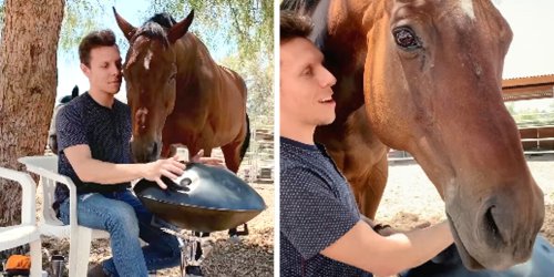 Horse Has Such A Sweet Reaction When He Gets His Very Own Concert