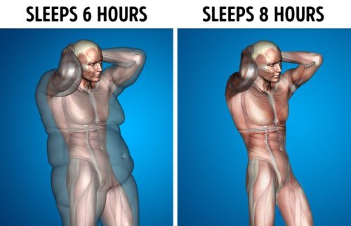 What Happens to Your Body If You Sleep 8 Hours Every Day - Thrive Global