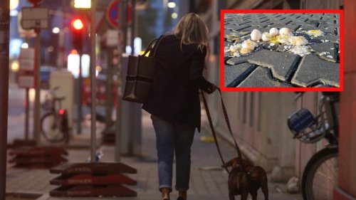 Jena: Frau geht mit Hund spazieren – dann donnert DAS auf sie ein