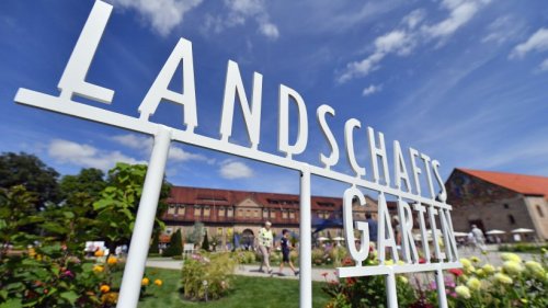 Buga Erfurt: Paukenschlag! DAS plant die Stadt jetzt
