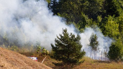 A73 in Thüringen: Flammen-Inferno! Tausende Quadratmeter brennen