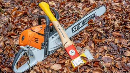 Unbekannter beschädigt Bäume in Neustadt: Harztor erstattet Anzeige