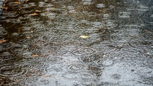 Das Wetter in Erfurt: Durchgehend bedeckt und mäßiger Regen