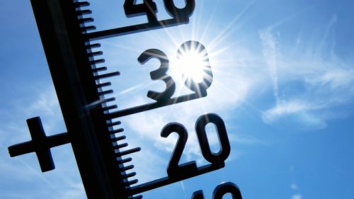 Landesärztekammer fordert zentrale Vorbereitung auf Hitzewellen in Thüringen