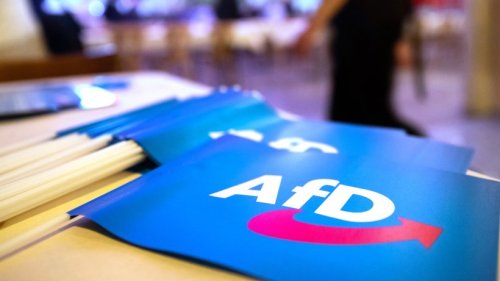 AfD: Gründung, Mitglieder, Fakten – Der Steckbrief zur Partei