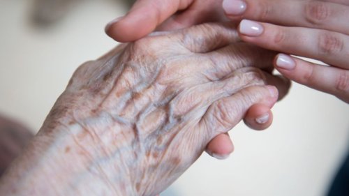Weiter Anstieg der Haushalte mit älteren Menschen
