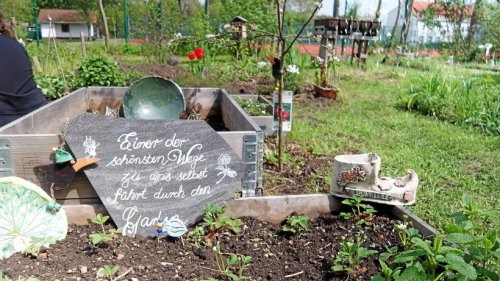 Ilmenauer Stadtgarten wird zum Treffpunkt für alle