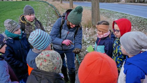 Drittklässler der Sondershäuser Franzbergschule bringen Erdkröten zum Laichgewässer