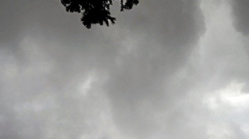 Das Wetter in Erfurt: Kühl und leichter Regen möglich