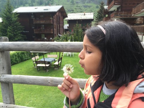 Switzerland with Kids: Tales of Travel and Humor