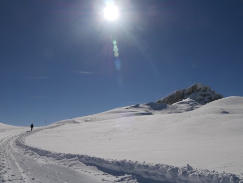 Winterwandern im Allgäu – meine schönsten Touren