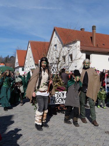 Faschingsumzug Obergünzburg 2025: tolle Gruppen und Kostüme