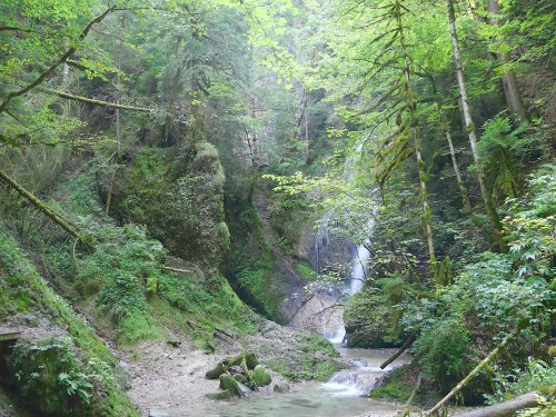 Wildromantische Wanderung zum Niedersonthofener Wasserfall