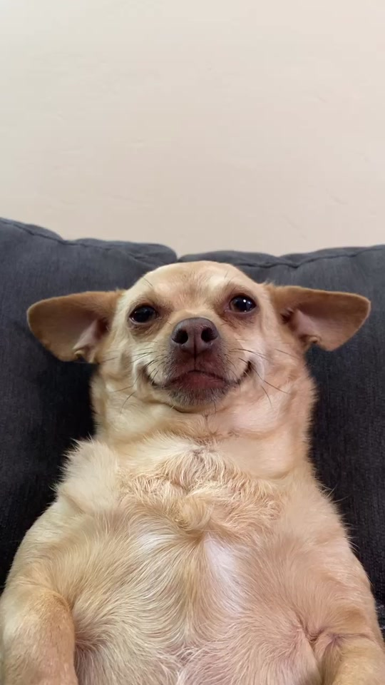 TikTok News Hub cover image
