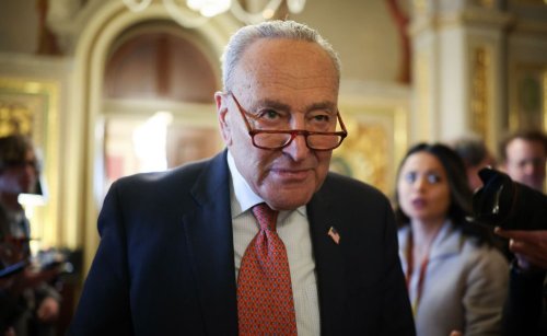 In Averting a Shutdown, Schumer Ignites a Rebellion